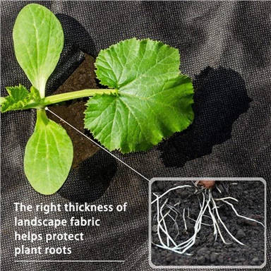 סדין חיפוי מתכלה